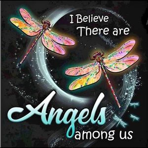 Meet your Posher, Sandi